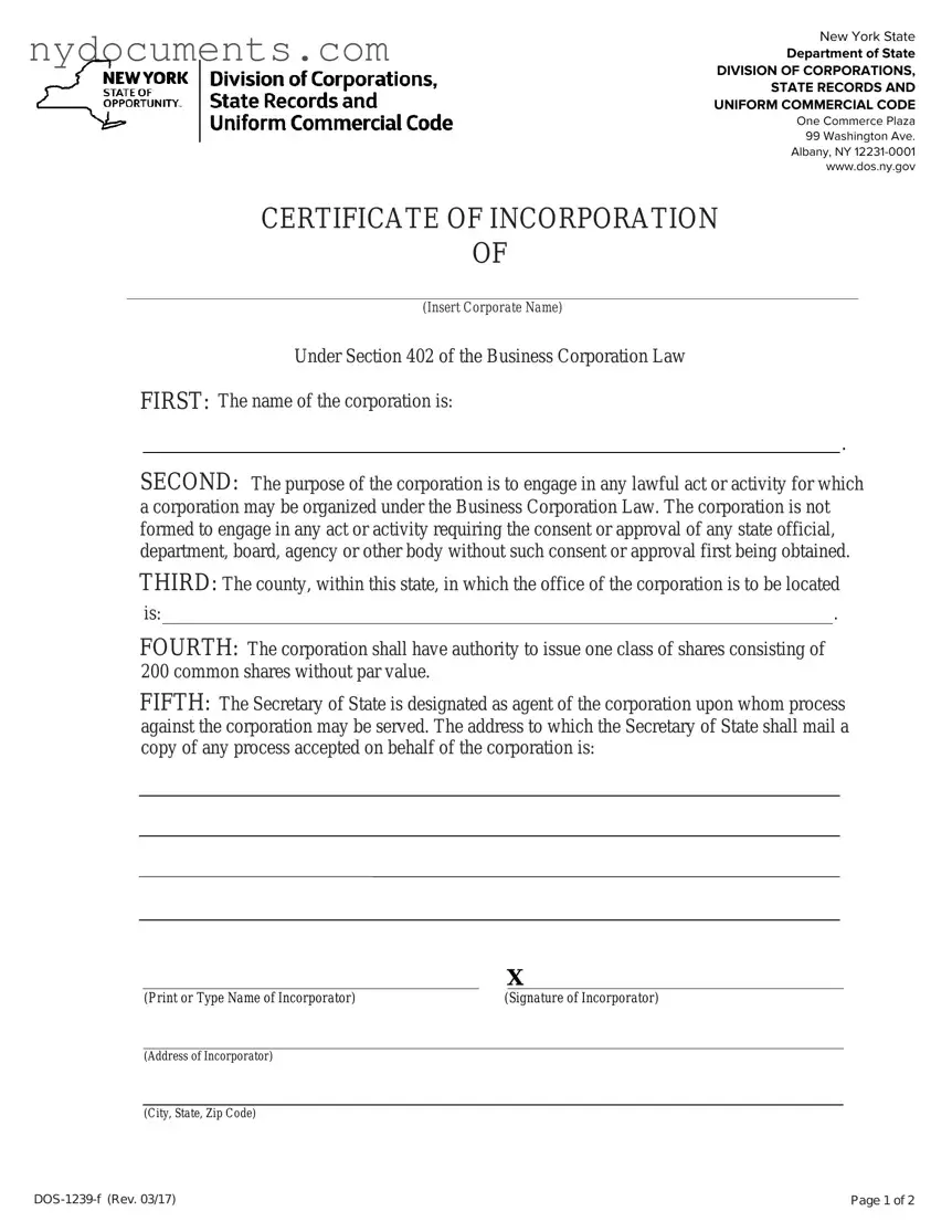 New York Certificate Template