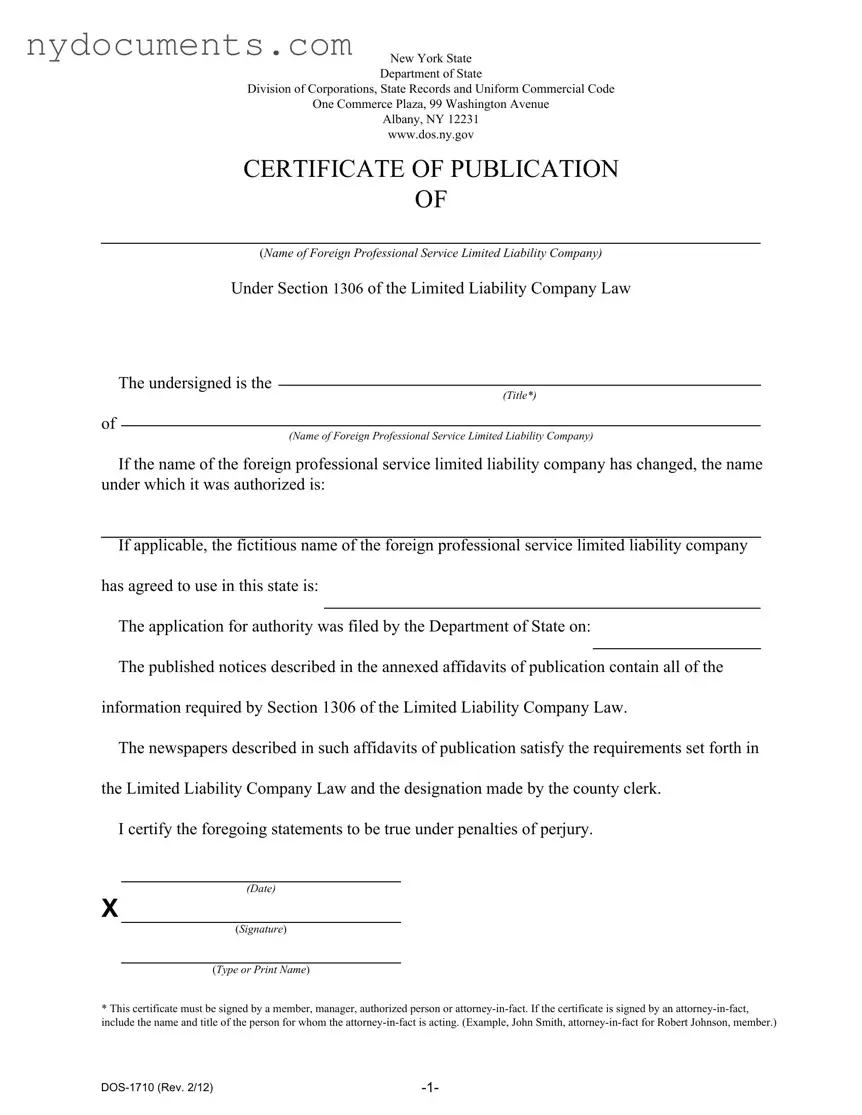 New York Dos 1710 Template