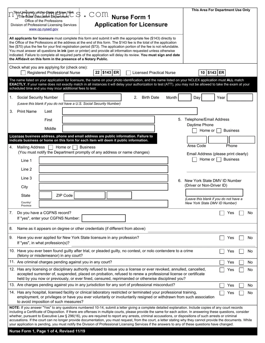 New York Nurse 1 Template